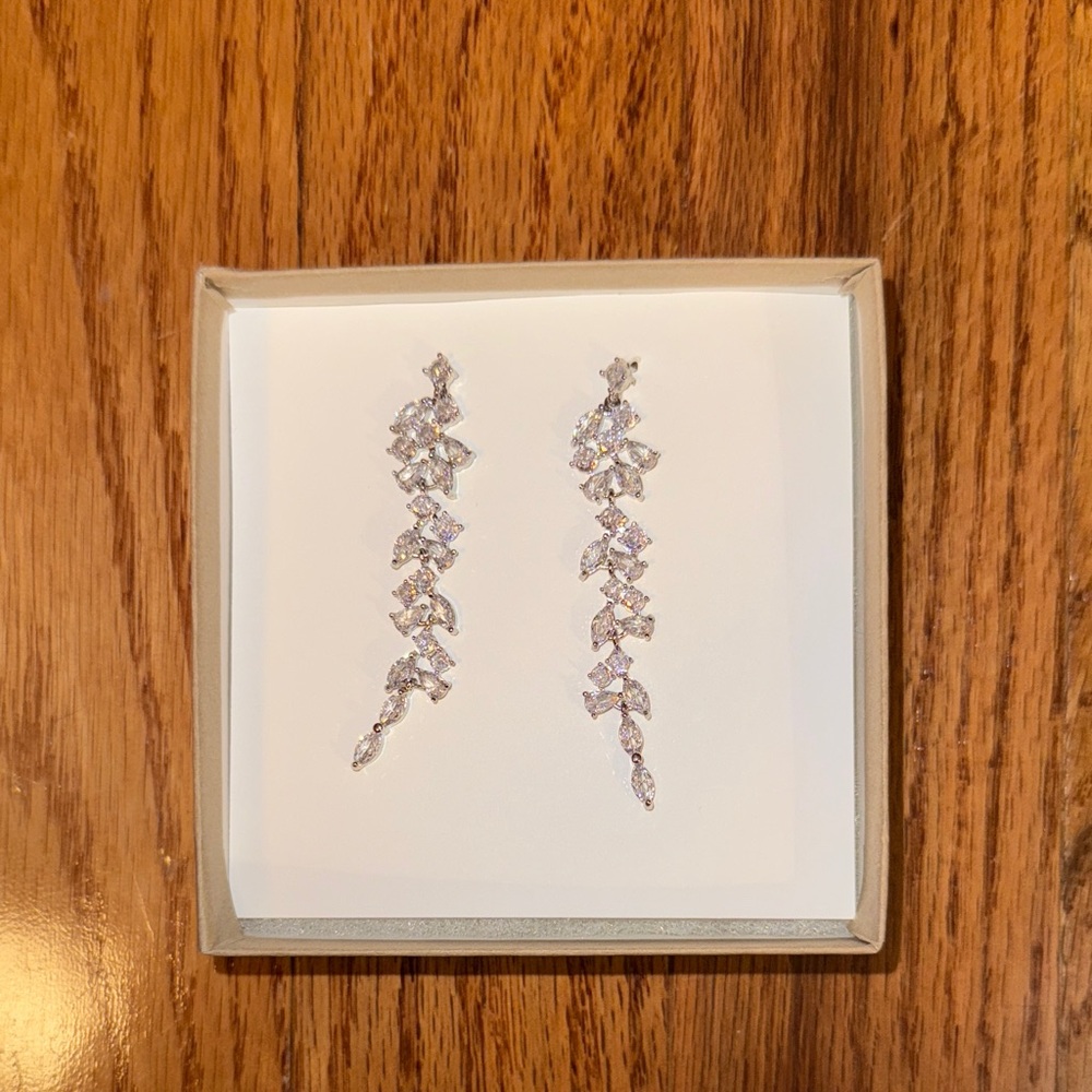 Elegant Silver Drop Earrings
